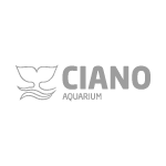 logo_cianum
